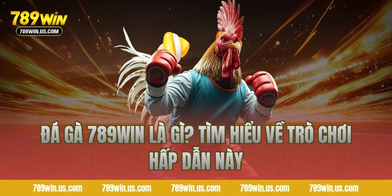 Đá gà 789WIN là gì? Tìm hiểu về trò chơi hấp dẫn này