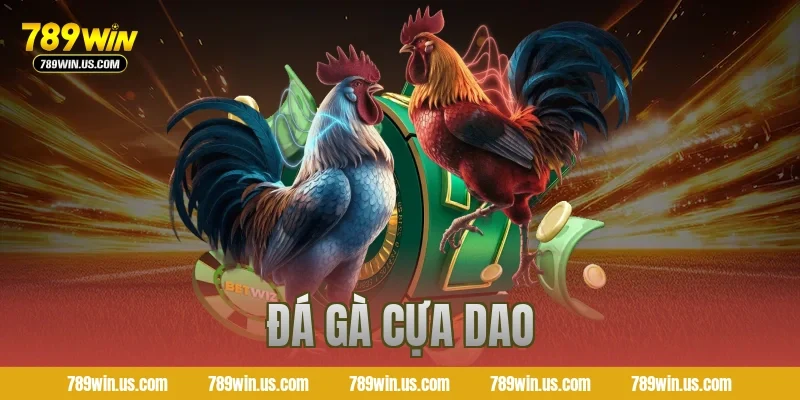 đá gà cựa dao