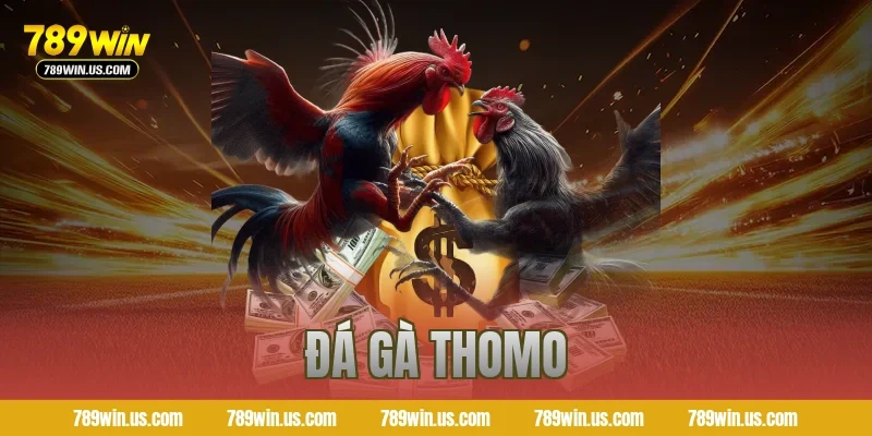 đá gà thomo
