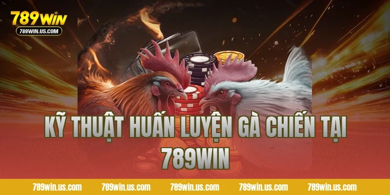 Kỹ thuật huấn luyện gà chiến tại 789WIN
