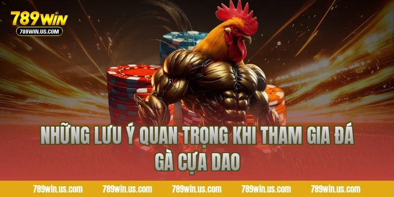 Những lưu ý quan trọng khi tham gia đá gà cựa dao