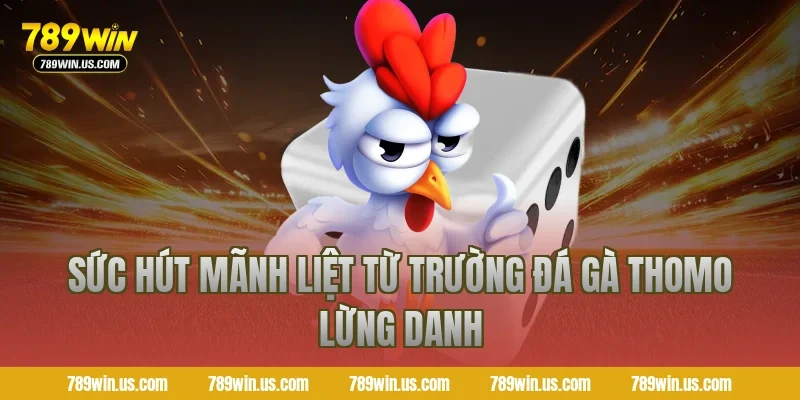 Sức hút mãnh liệt từ trường đá gà Thomo lừng danh